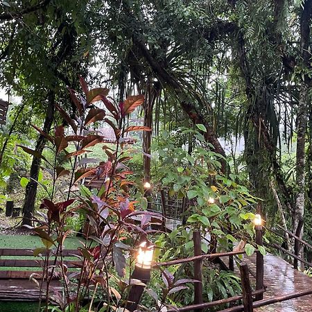 Khaosok Farmstay Khao Sok National Park Ngoại thất bức ảnh