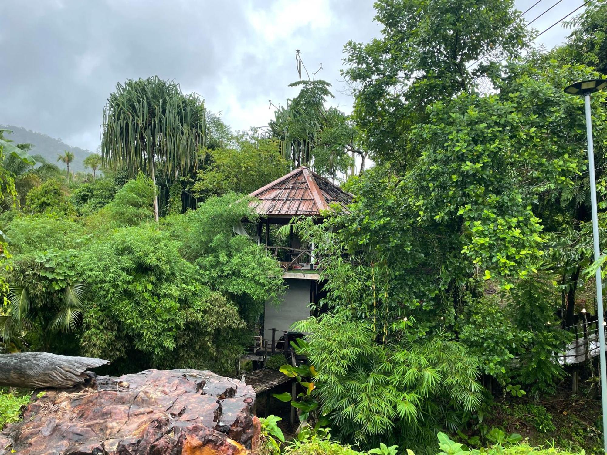 Khaosok Farmstay Khao Sok National Park Ngoại thất bức ảnh